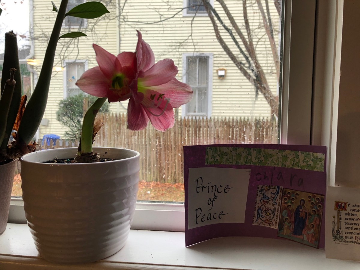 a year for&nbsp;hope